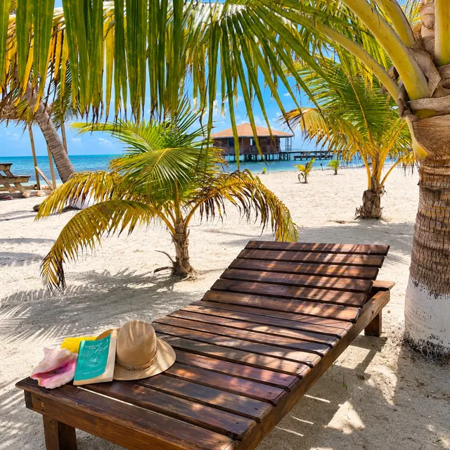 Beach lounger beneath palm trees