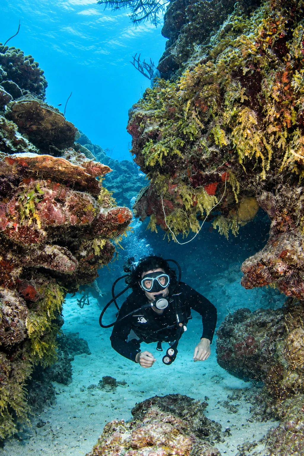 Diving