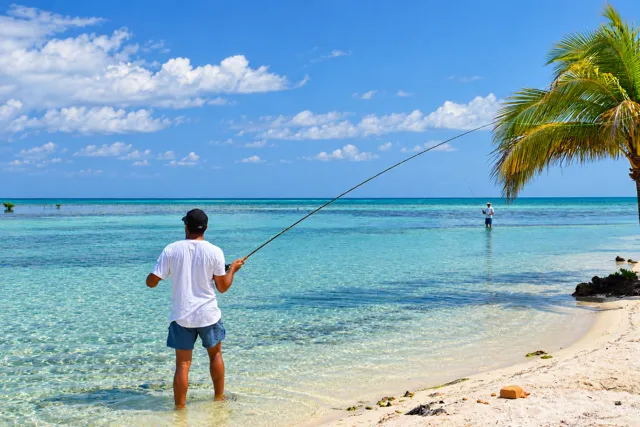 Angler casting from the island shoreline