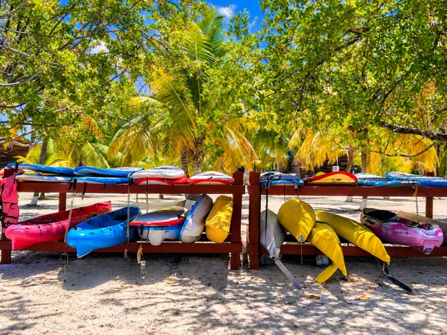 Colorful kayaks stored beneath island palms