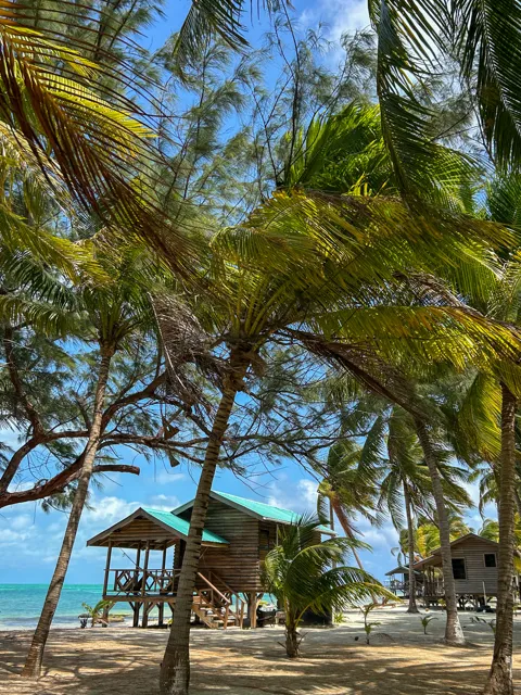 Palm lined island path — Isla Marisol Resort, Belize