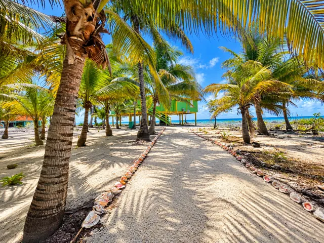 Palm-lined sandy walkway through the island