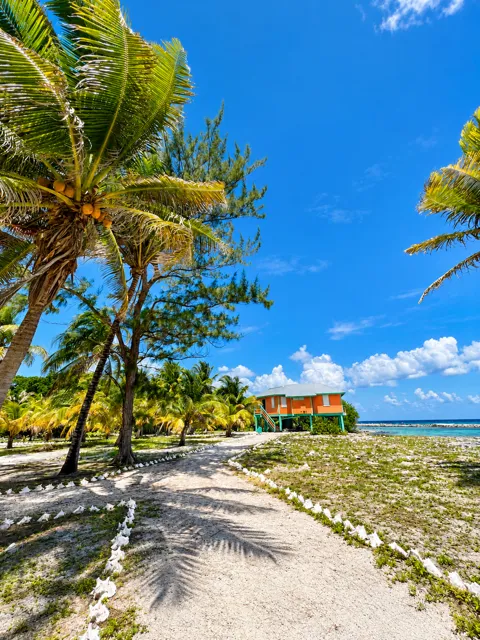 Sandy palm-lined path toward an island cottage