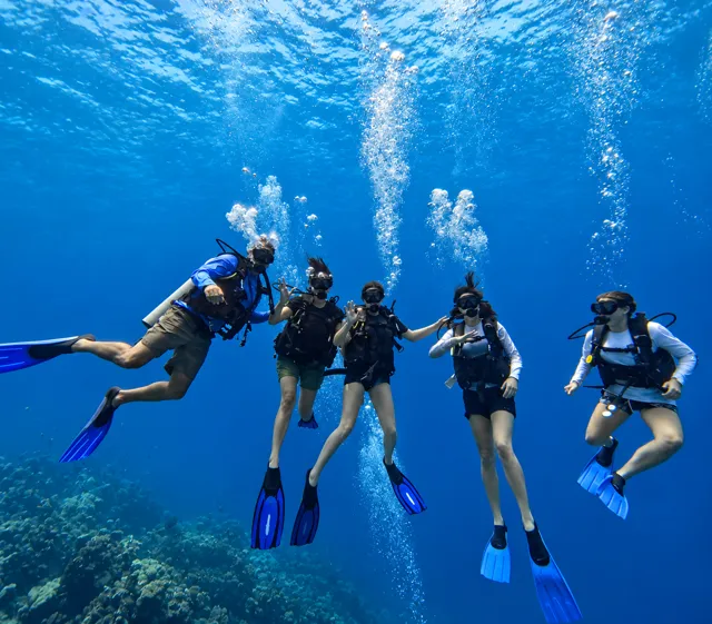 Scuba divers beneath the surface in clear blue water